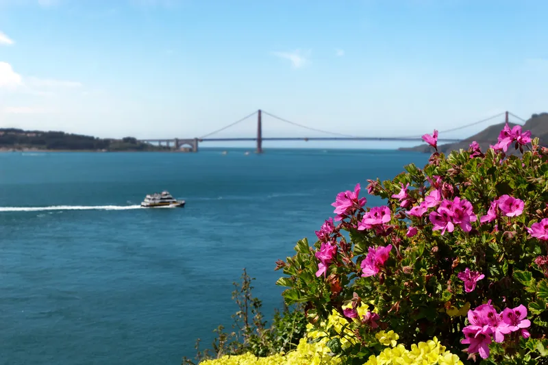 Experience Spring Break with Ecko Worldwide Transportation