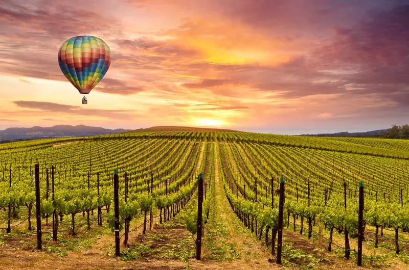 Experience the Magic of Napa & Sonoma in 2024!