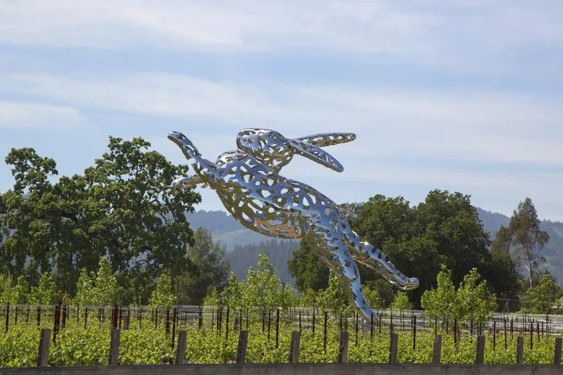 Unveiling the Vibrancy of California Wine Country with Spring & Summer Escapades