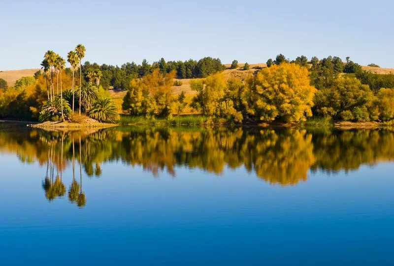 Planning Your Dream Honeymoon in Napa Valley and Beyond
