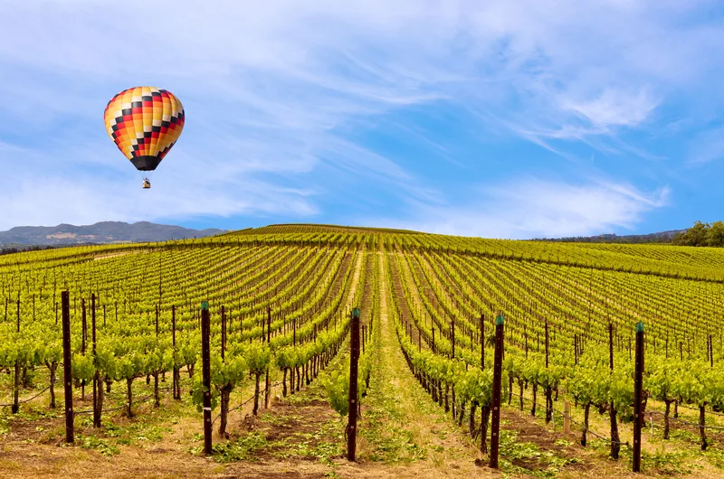 Uncork the Best of Napa & Sonoma in 2025 with Ecko Transportation