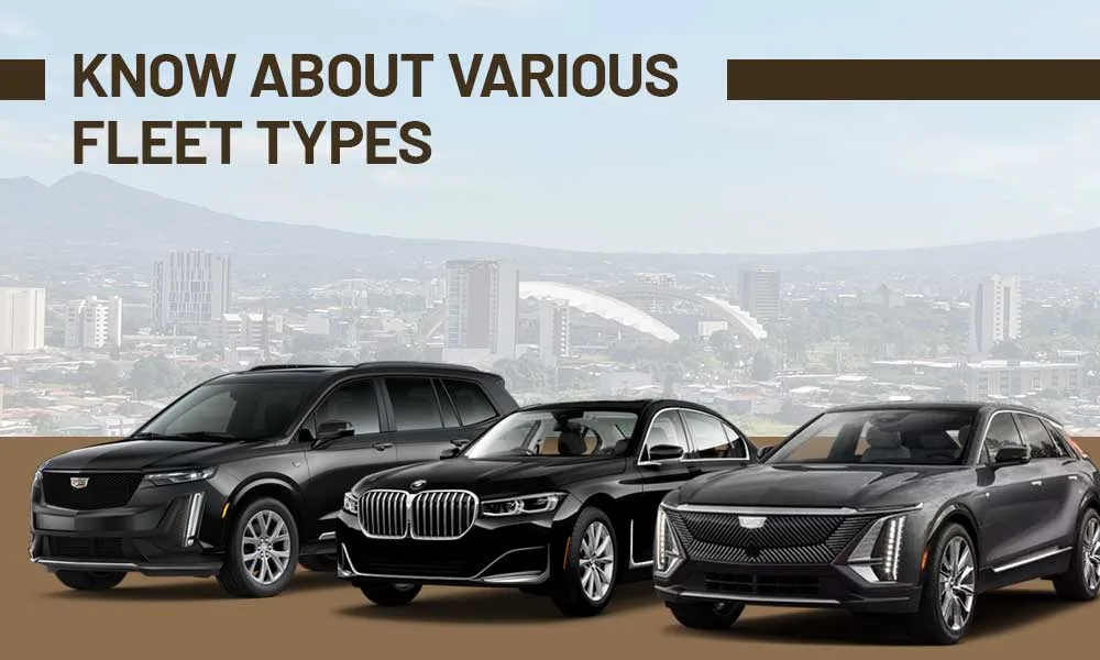 Know About Various Fleet Types