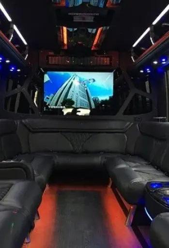 Party Bus Limousine