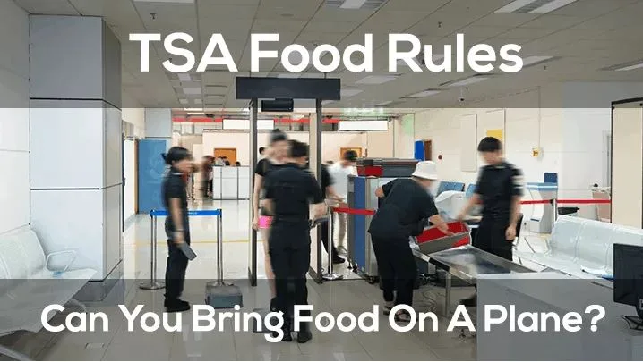 What Food Can You Bring on a Plane?